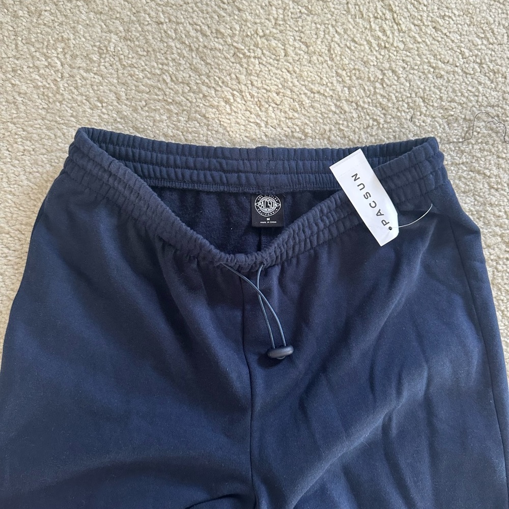 NWT Navy Pacsun Sweatpants